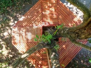 picnic-pavilion